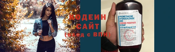 гашик Богданович