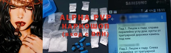 гашик Богданович