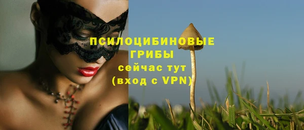 бутират Бугульма