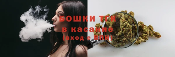 гашик Богданович