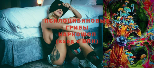 гидра Бронницы
