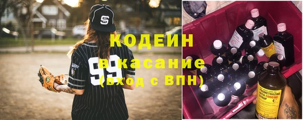 гашик Богданович